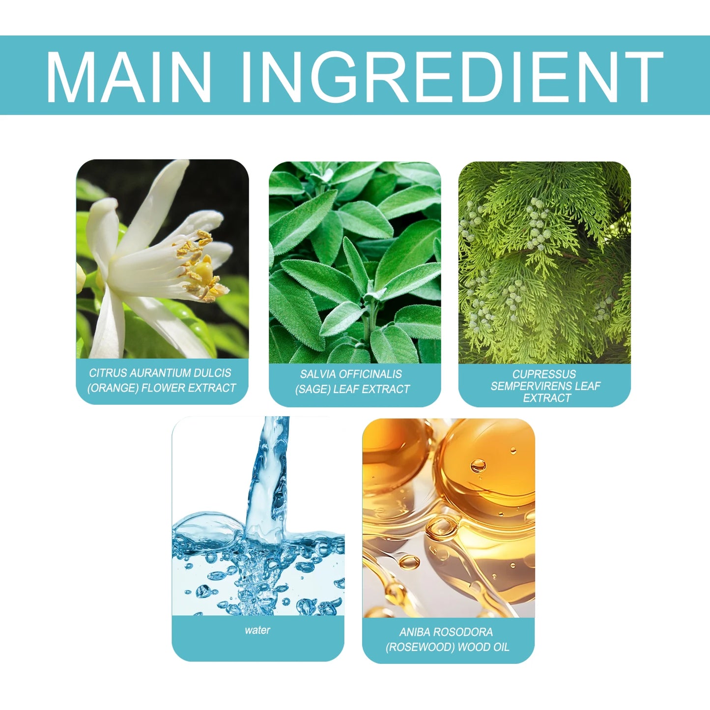 North Moon Charm Perfume Release Charm Mild Fresh Light Fragrance Niche Natural Portable Lasting Perfume