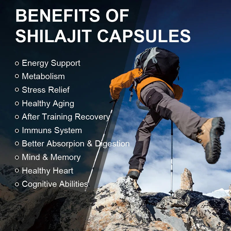 Naturale | Shilajit Capsules | Energy & Performance Support