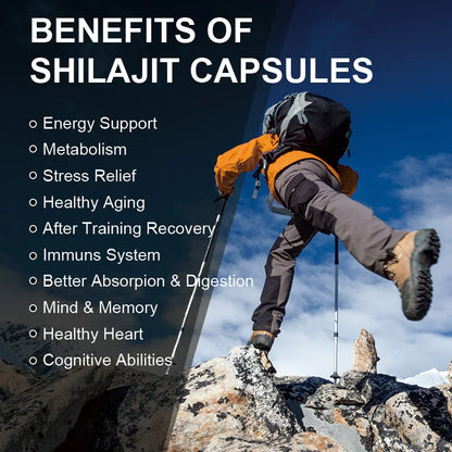 Naturale | Shilajit Capsules | Energy & Performance Support