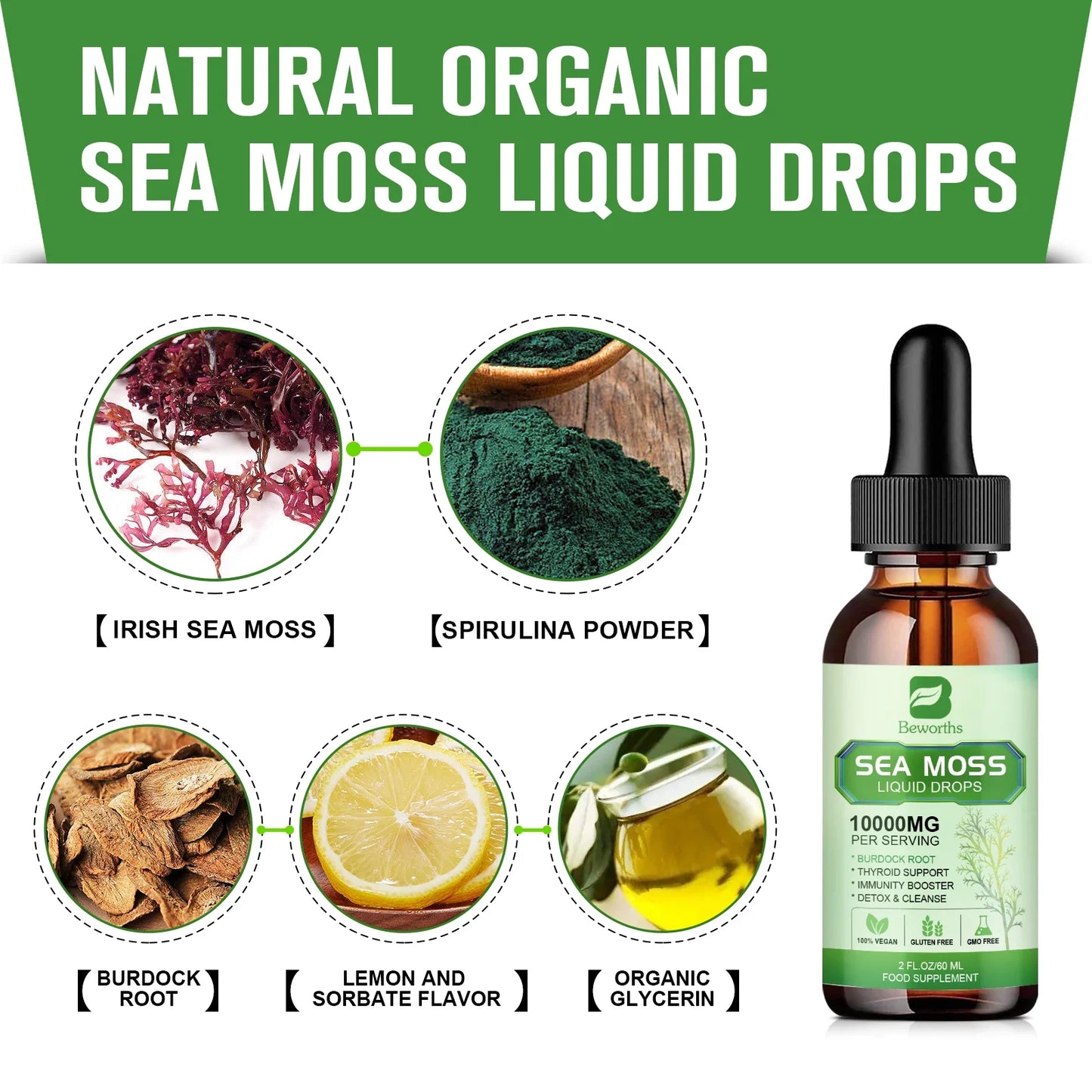 Beworths | Sea Moss Liquid Drops Burdock Root | Thyroid, Immunity & Weight Support