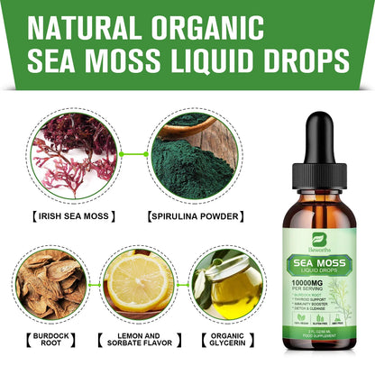 Beworths | Sea Moss Liquid Drops Burdock Root | Thyroid, Immunity & Weight Support
