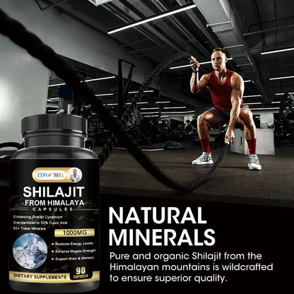 ByurWill Shilajit Himalaya Capsules | Energy Boost, Stamina & Immune Support