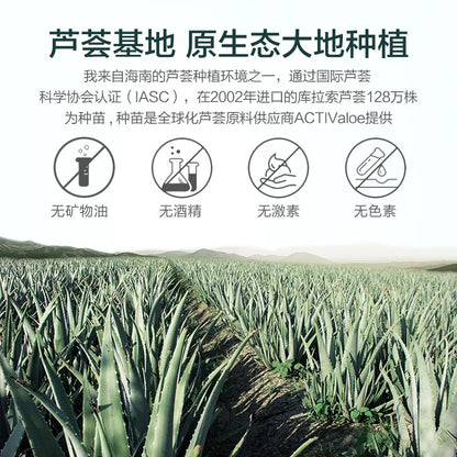 Natural Aloe Vera Gel 99% Acne Scars After Sun Repair Moisturizing Soothing Face Hand Body Day Cream Skin Care