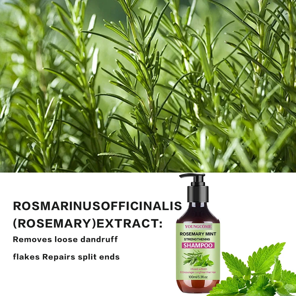 Youngcome | Rosemary & Mint shampoo | Strengthening & Scalp Care