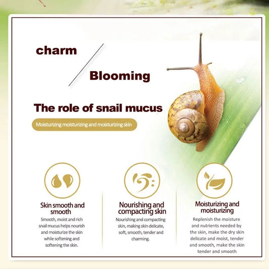 Snail & Collagen Cream | Anti-Aging, Whitening, Dark Circle Fading, Eye Bag Removal, Face & Eye Serum