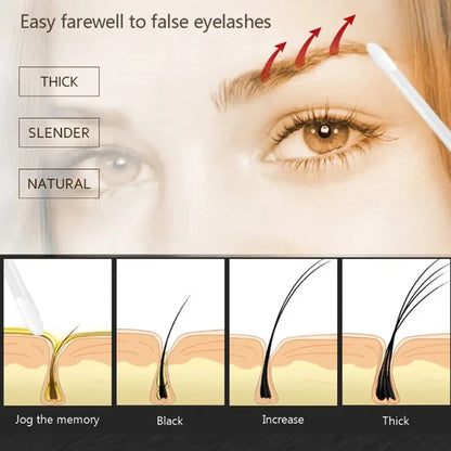 Eyebrows Growth Serum | Eyebrow Enhancer, Eyelash Growth Liquid, Makeup Tools | 3ml