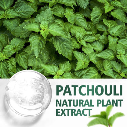 Patchouli Essential Oil | Hydrating & Moisturizing, Skin & Body Care, Natural Fragrance & Perfume | 100ml / 60ml / 30ml