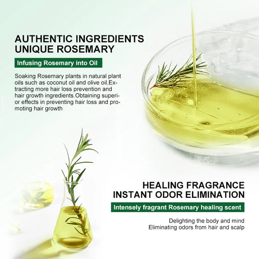 PURC Rosemary Oil Hair Care Products for Men Women Nourish Thickener Ginger Hair Treatment Hair Care Oils 50ml