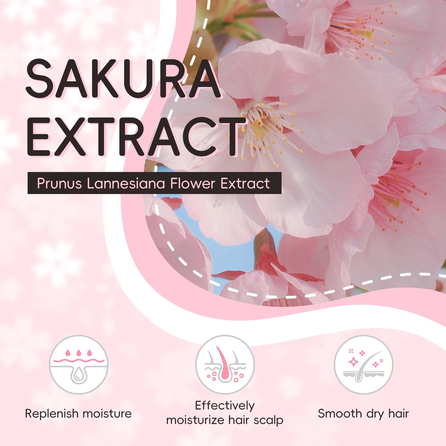 Laikou | Japan Sakura shampoo | Repair, Anti-Split Ends & Frizz Control