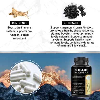 Naturale | Shilajit Capsules | Energy & Performance Support